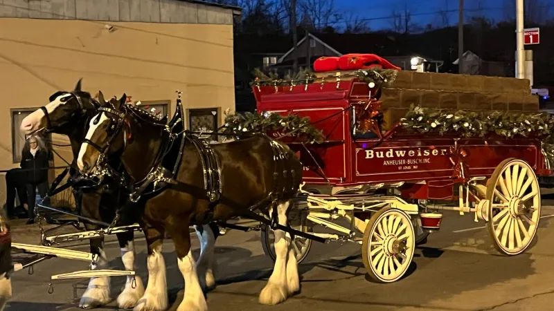 Bristol holds Christmas Parade, Budweiser Clydesdales lead the parade