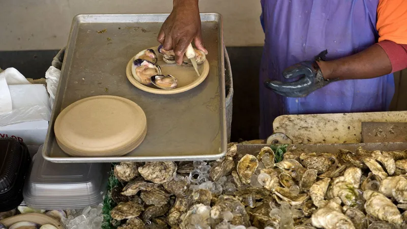 Sewage spill in Potomac River crushes oyster industry as seafood season ramps up: 'It's devastating us'