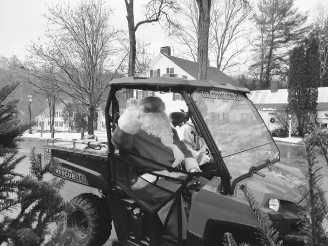 Christmas Trees in Grafton