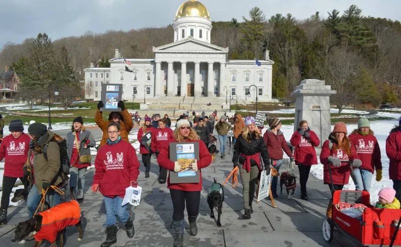 Dogs' Starvation Prompts Push for Legislation