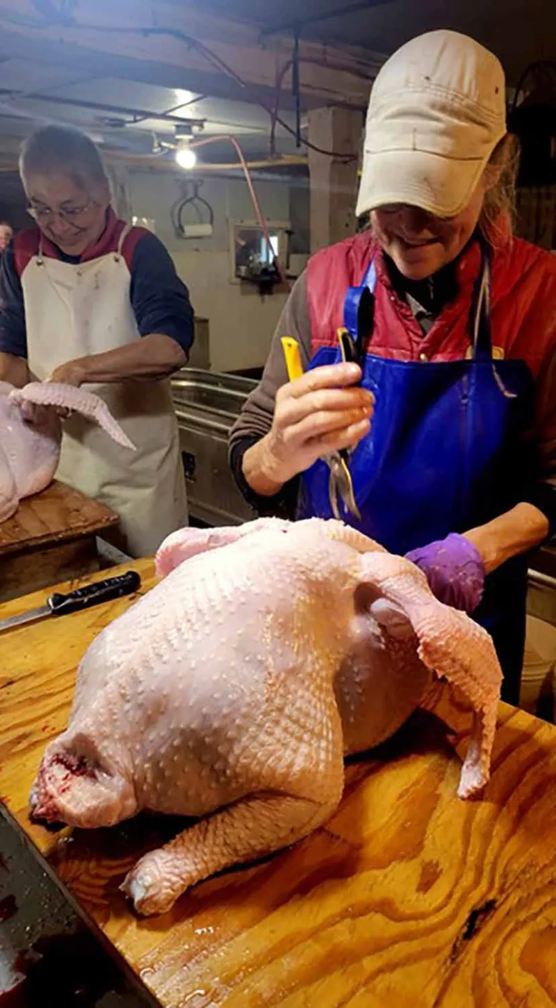 A Vermont Thanksgiving Tradition on Sheep Farm Road