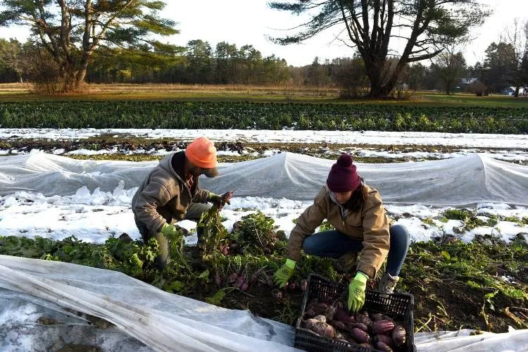Program trains Upper Valley farmers to help others in mental health crisis