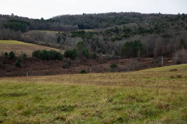 Bursts of gunfire collide with other uses on 825-acre property in Windsor