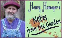 Henry Homeyer: How to care for your trees in Winter