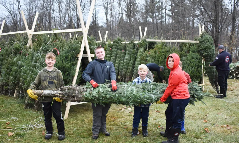 Chester Fire Department Christmas trees go on sale