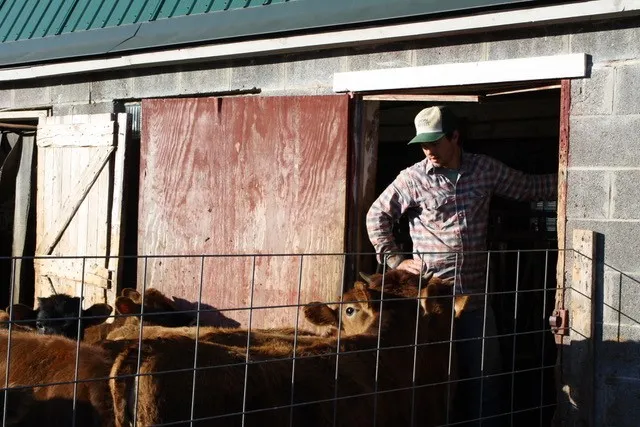 Grants offered to help farmers with water quality projects