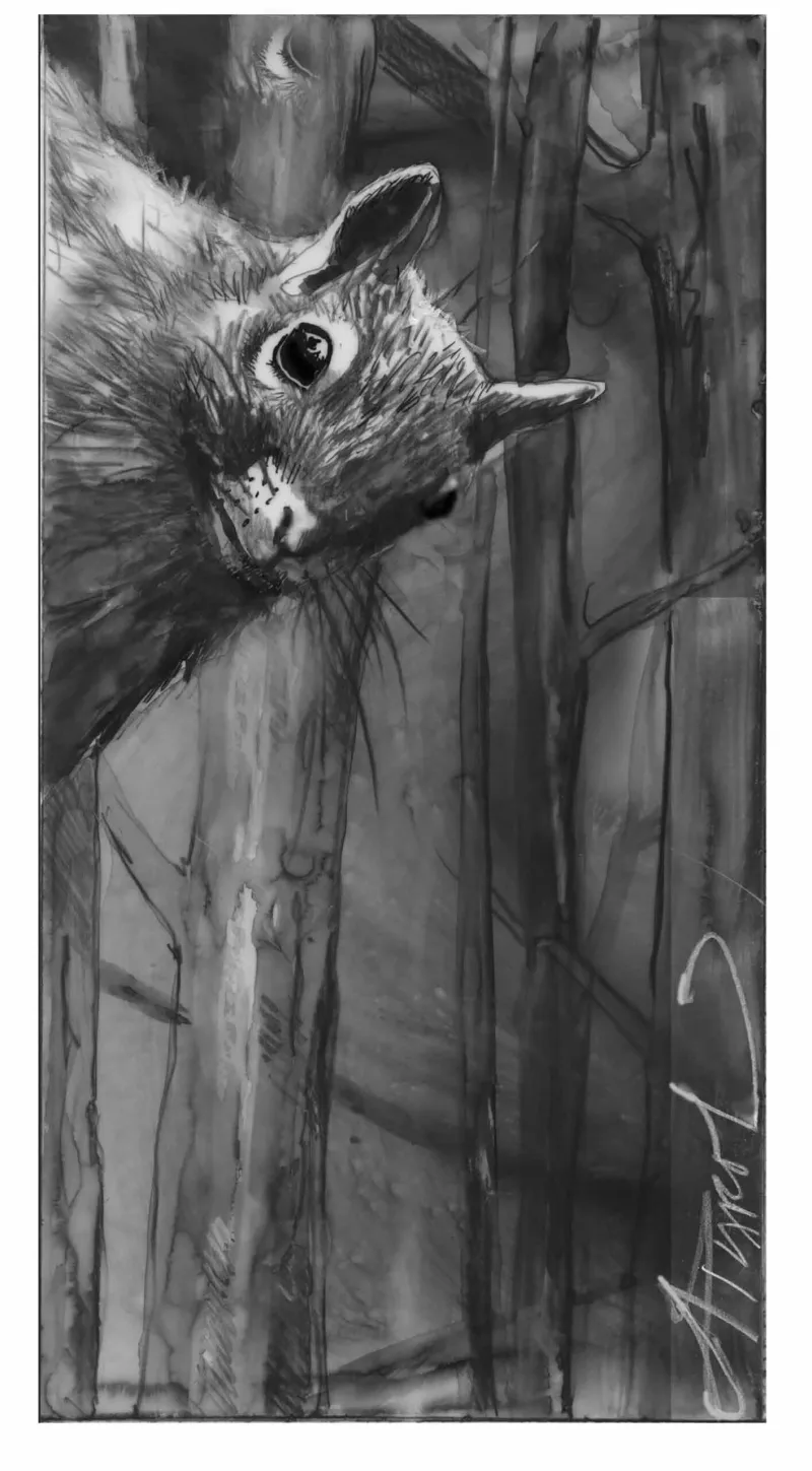 Squirrel Talk: What Does That Noise Mean?