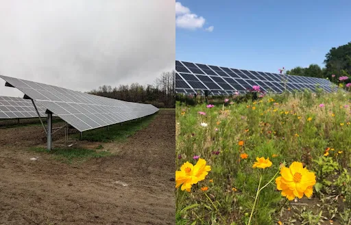 Johnson & Clark: Efficient solar permitting can benefit communities and environment