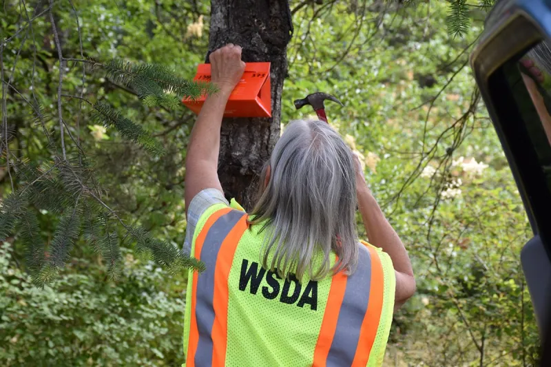 State begins annual survey for over 130 invasive pests