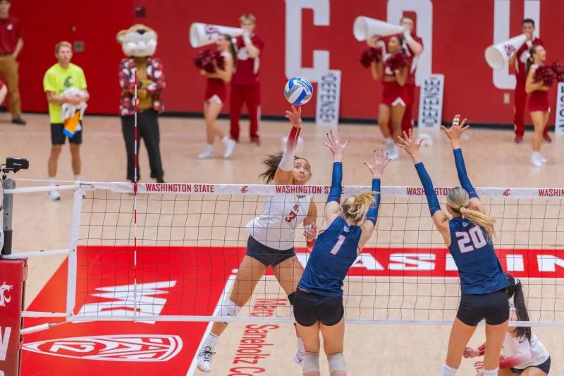 WSU volleyball Pac-12 schedule breakdown: Everything you need to know about each opponent in 200 words or less