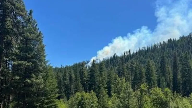 Military aircraft crashes near Rimrock Lake in Yakima County, sparking wildfire