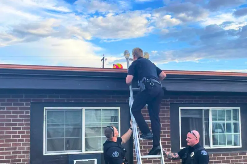 Pasco Police Rescuing a Soccer Ball is the Best Story of the Week