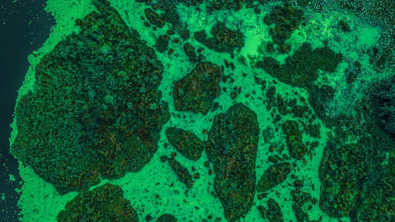 Stay Safe: BFHD Monitoring Columbia River for Toxic Algae