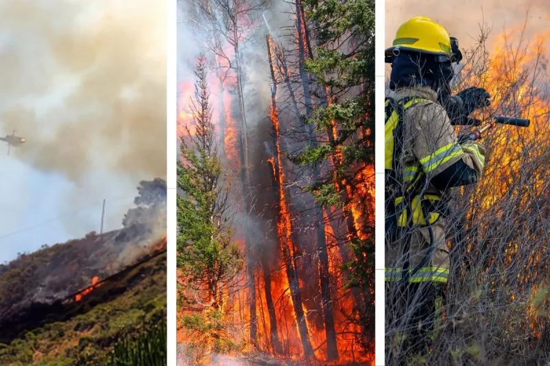 Washington Mobilizes Firefighters After 3 fires Break Out Sunday