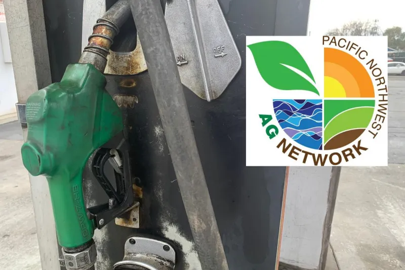 Price At The Pump: Fuel Prices Continue To Move Lower