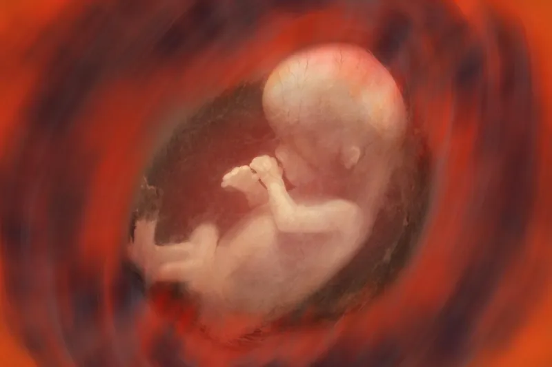 Army captain gets 12 years for killing unborn child; pro-life group urges DOJ action