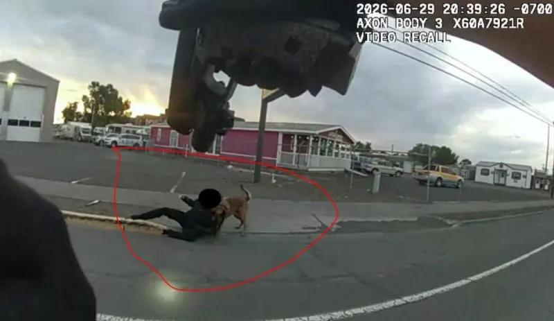 Moses Lake PD K-9 Takedown of Armed Assault Suspect Captured in Epic Picture