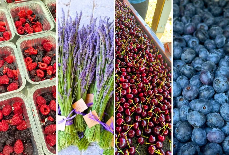 4 Fresh Ways to Use Yakima Valley U-Pick Foods for Summer Feasts