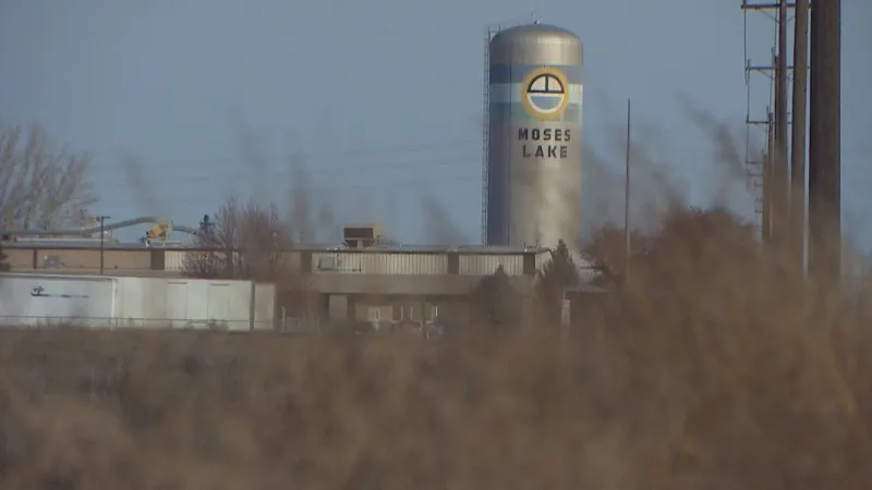 Boat collision injures 5 on Moses Lake in Grant County