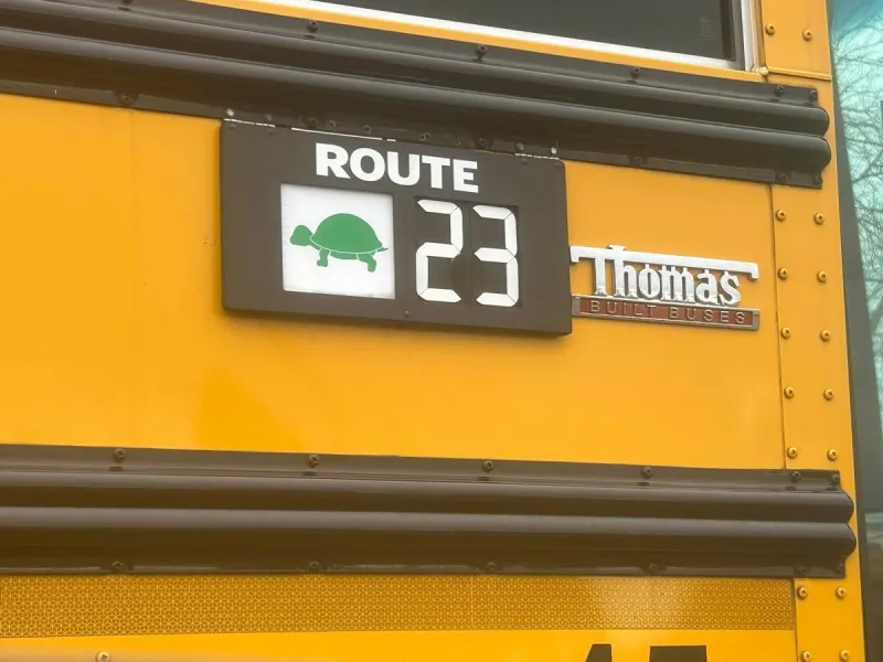 Why School Buses in Washington Have Animal Signs