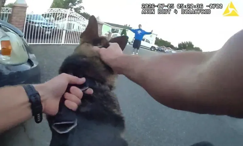 Kennewick Police K-9 Ivan Helps Arrest Armed Robbery Suspect