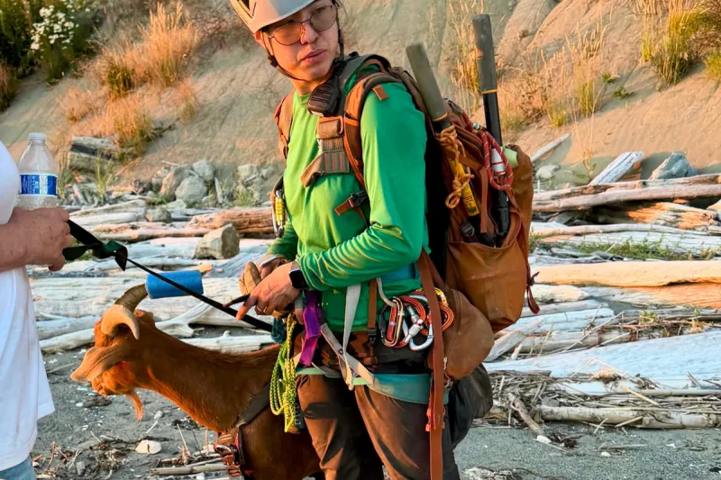 WA Animal Response Team Saves Goat After Steep Cliffside Fall