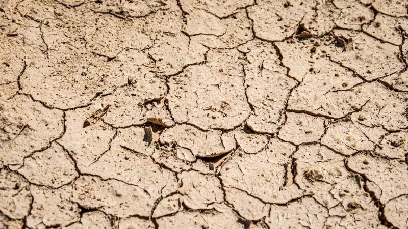 Drought Continues To Spread, But Severity Varies Across The NW