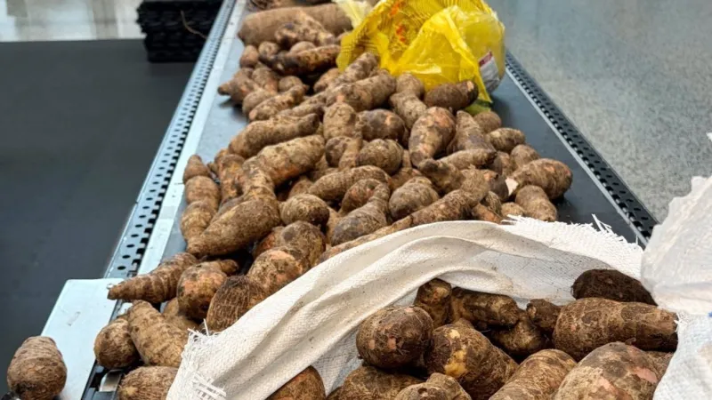 CPB officers in Seattle seize 114 pounds of yams from Ghana after finding live larvae