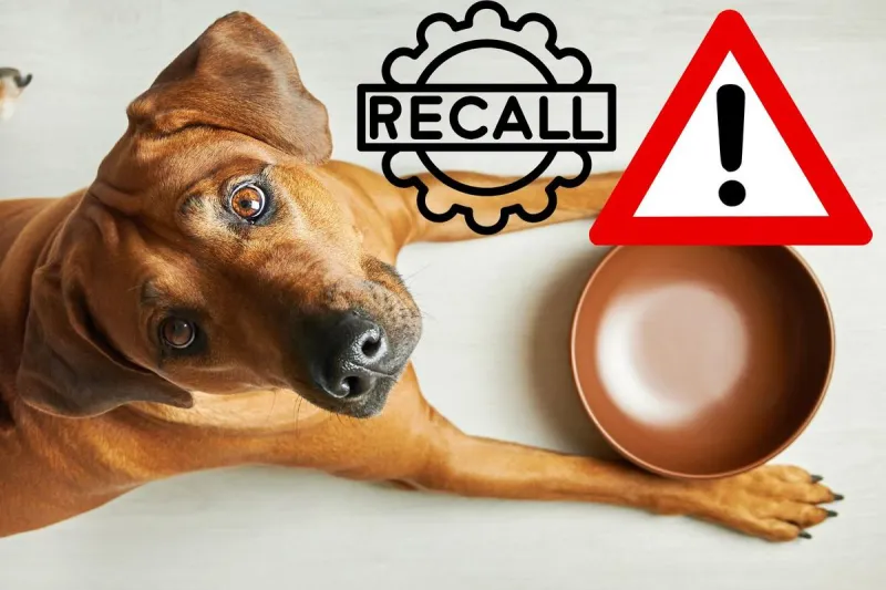 Check Your Dog Food Now - Pedigree Just Issued a Recall