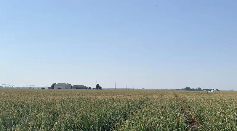 America Continues Losing Farmland at a Rapid Pace