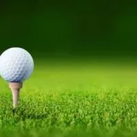 Three local golfers win Washington Junior Golf Association district championships