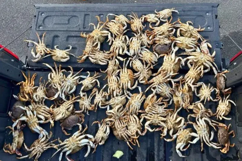 A Backpack Full of Illegal Crab Got a Westport Fisher in Trouble