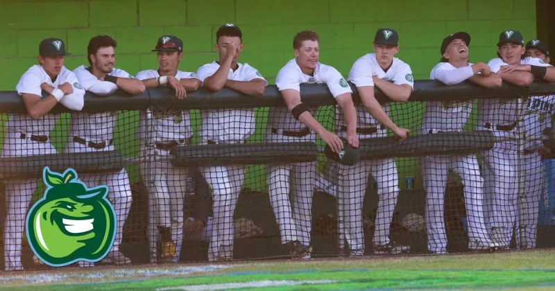 Yakima Valley Pippins surrender 17 hits to Portland Pickles in return to West Coast League Play