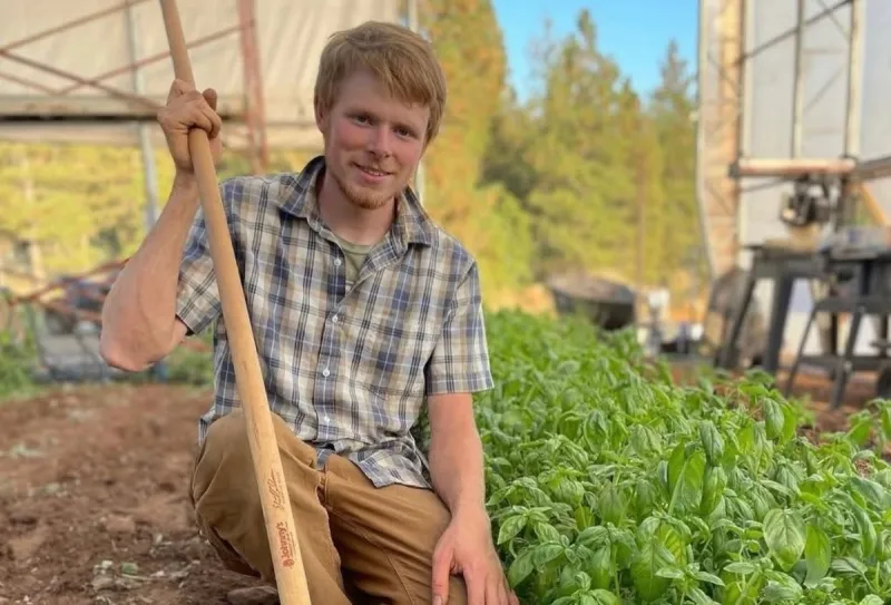 Where to Buy Local Farm-to-Table Fresh Lettuce in Yakima Valley