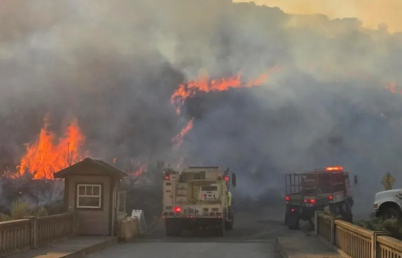Lyons Ferry Fire Slows Its March Through The Western Palouse