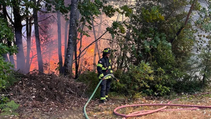 Jefferson County raises fire danger level to high; wood burning and open flames prohibited
