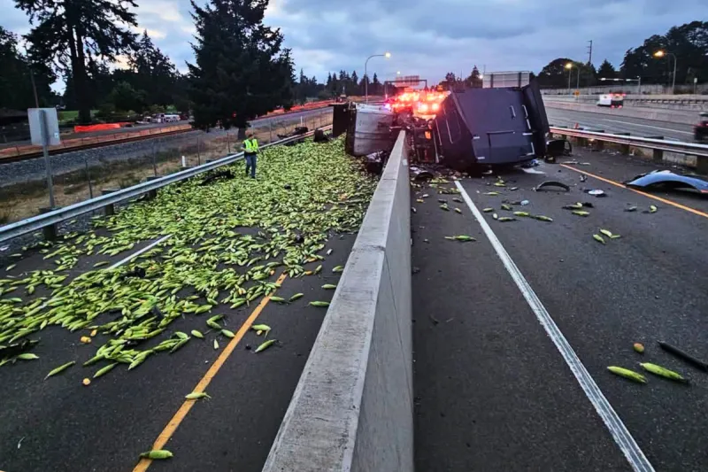 Awe, Shucks: Semi Spills Corn on I-5 Exit Ramp - NO Injuries