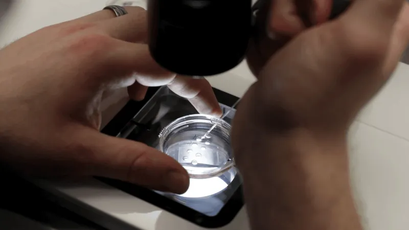 Democrats renew push for nationwide IVF rights, call out Trump for 'unfulfilled promise'