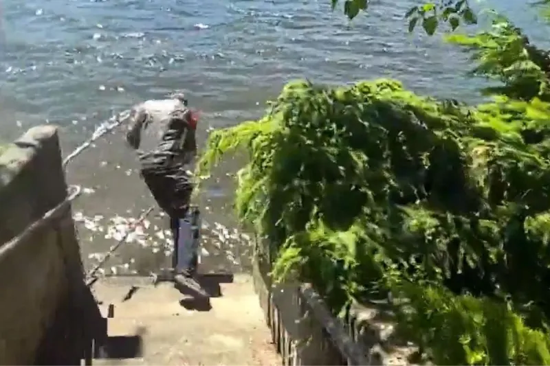 Motorcyclist in Leather Tried to Get Away from Police by Swimming