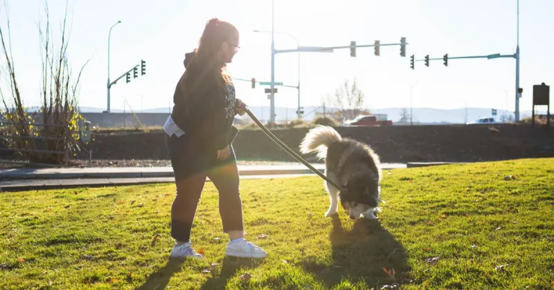 Yakima County commissioners dig into dog ordinance changes