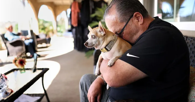 Commentary: The joy and heartbreak of adopting a senior dog