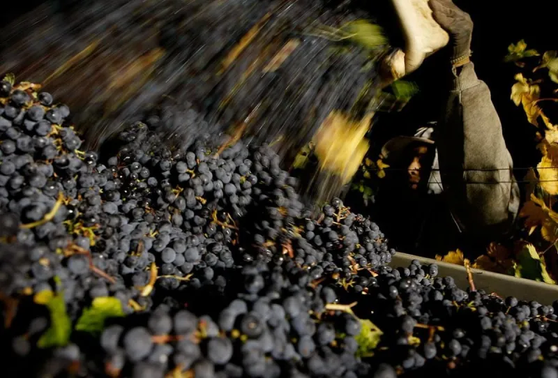 California Winemaker Buys Brand from Bankrupt Tri-Cities Pacific Rim Winery