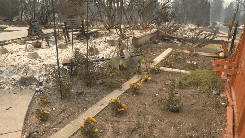 PHOTOS: Spokane neighborhood burns to the ground during devastating Old Trails fire