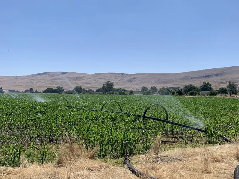 Central Washington Water Availability Continues To Fall Short