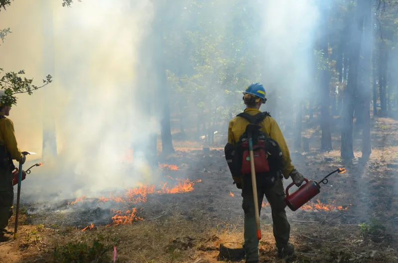 WA Fires Are Out of Control Lately, Here's Why