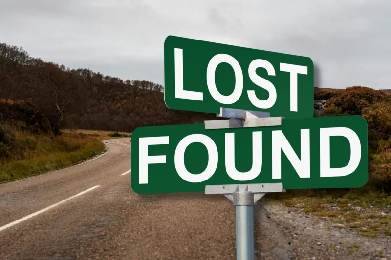 The Weirdest Things Seen on Washington Roads