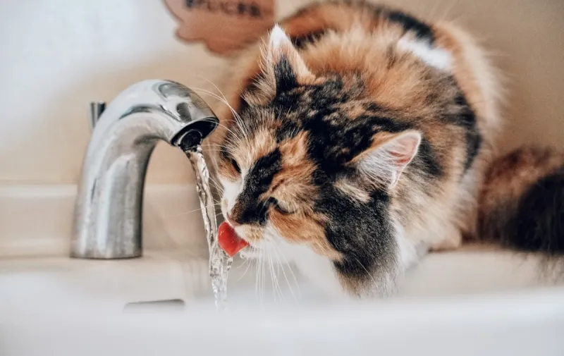 We Are One of America's Most Hydrated States