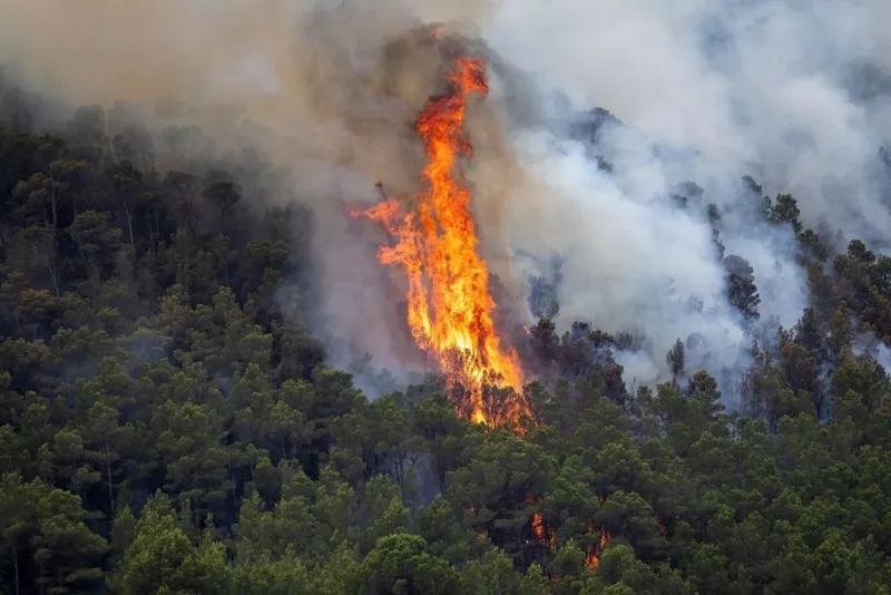 Huge Area Around Lake Kachess Closed Due to Fire in Kittitas County