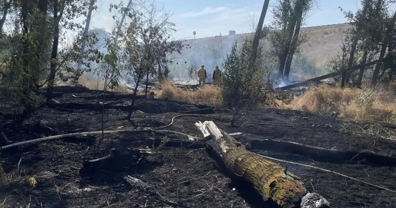 Firefighters deal with early-morning fires on Yakima Greenway