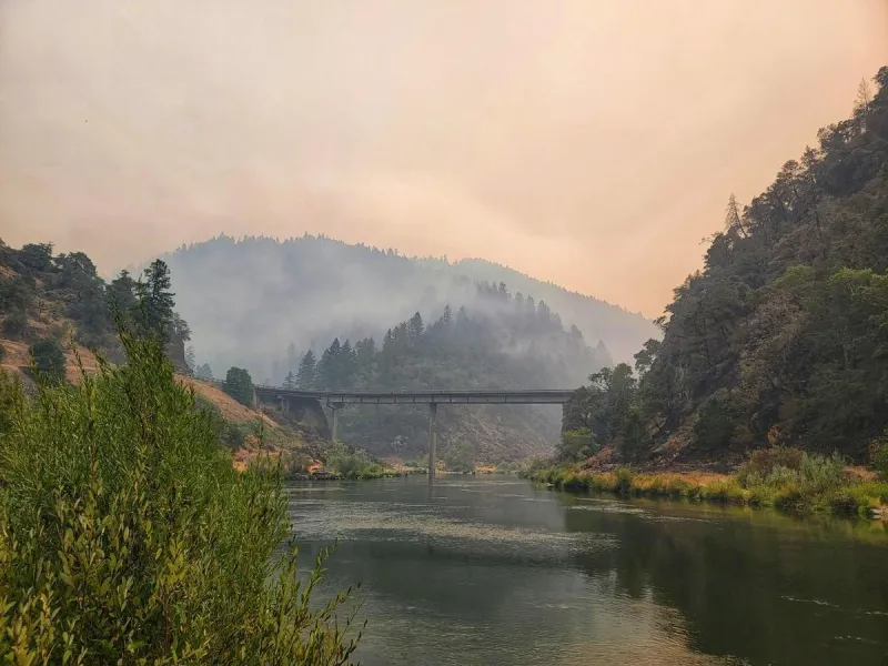 How Have Smoky Skies Impacted Disease Pressures Across The Columbia Basin?